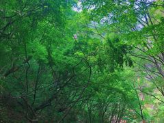 -云梦山