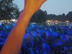 -小王府(什刹海店)