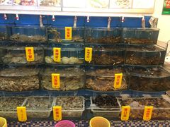 -渔中舟海鲜大排档(普陀沈家门店)