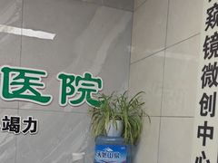 -半岛宠物医院24小时(白果林店)