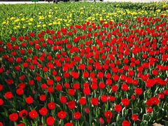 -长春公园(普阳街道)