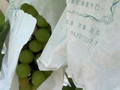 -马陆小张葡萄园农家乐