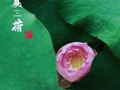 -重元寺