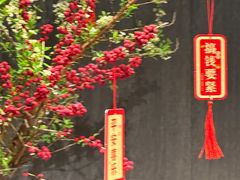 -越秀西湖花市(广州城市广场花卉店)