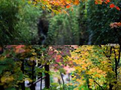 -九如山休闲旅游度假区