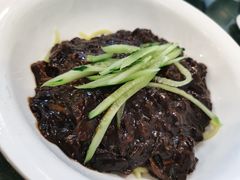 炸酱面-桃园中华料理炸酱面(燕儿岛路店)