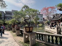 -碧江金楼