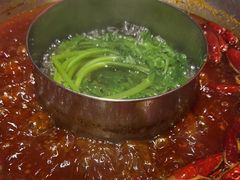 -大龙燚·旷野鲜火锅(广州首店)