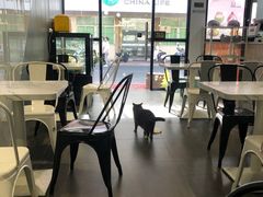 大堂-乐果甜心·潮汕冰室(南澳后宅分店)