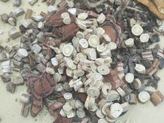 -北京同仁堂中医馆(宁波店)