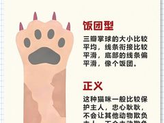 -翊宠yipet猫狗购宠庄园犬舍•猫舍