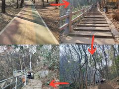 -惠山国家森林公园
