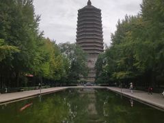 -玲珑塔公园