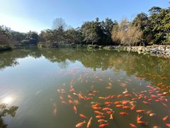 -西湖外事游船(花港观鱼码头)