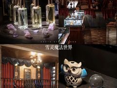 -雪灵魔法世界SHELLY’S TAROT(大良桂畔里店)