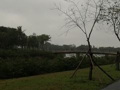 -万绿园