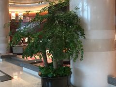 -杭州君悦酒店