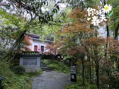-大围山国家森林公园