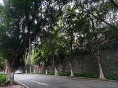 -长洲岛