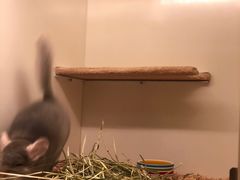 -龙猫仔乐园(惠福东路店)