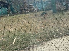 -无锡动物园·太湖欢乐园