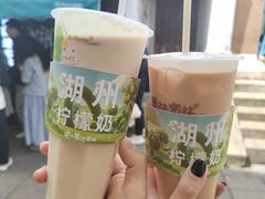-猫的魔法密林(衣裳街店)