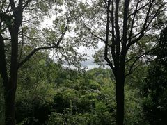 -宝界山林公园