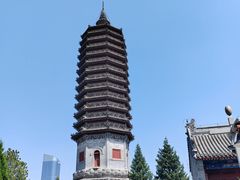-西海子公园