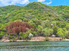-玉渡山自然风景区