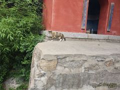 -天津盘山风景名胜区