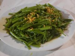 -越海渔村