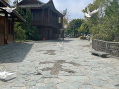 -厦门园林博览苑