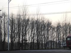 -东北故事私房菜(江南印象店)