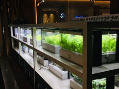 -CGV影城(广州K11店)