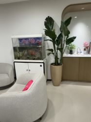 -丰联丽格医疗美容·联合丽格眼整形中心