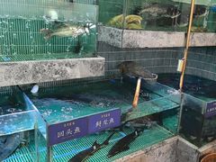 -鱼你相聚·河鲜馆(袁家岭店)