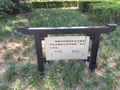 -唐城墙遗址公园
