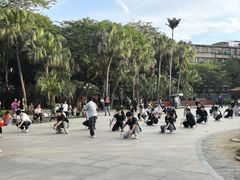 -金砂公园