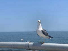 -大连海昌东方水城