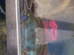 -宾朋海鲜特色美食餐厅·纯手工鲅鱼水饺(兴海路店)