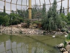 -临沂动植物园