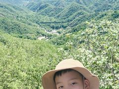 -大岭沟猕猴桃谷风景区