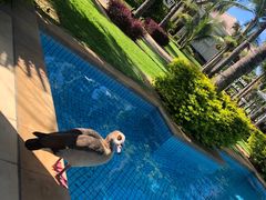 -毛里求斯小四川餐厅总店