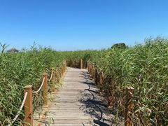 -黑龙江扎龙生态旅游区