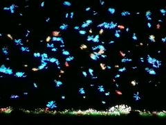 -郑州方特梦幻王国