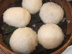 茨毛圆子-双塔老饭店