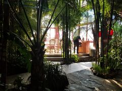 -大鹅岛绿色生态美食园