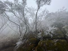 -洛阳白云山景区