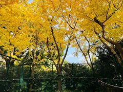 -兰溪青年公园
