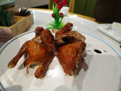 -大鸽饭(马王堆店)